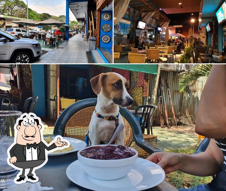 O interior do Zimbrus