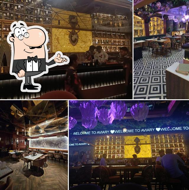 Aviary Cocktail Nest Kanpur