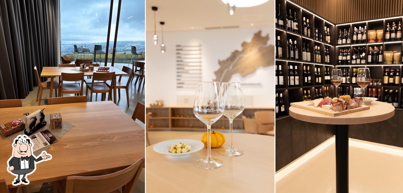 Maison des Vins de La Côte