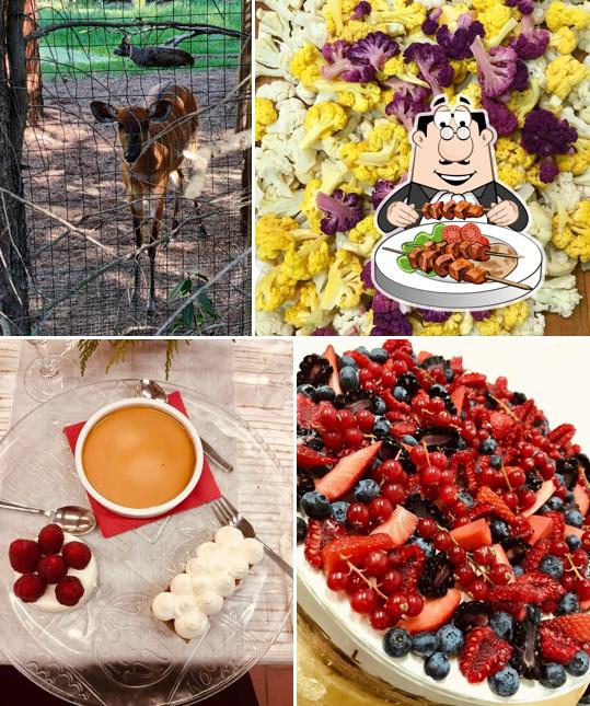 Cibo al Parco Gallorose