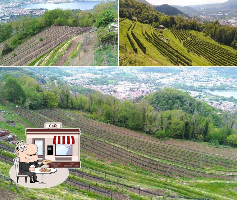 Gli esterni costituiscono una caratteristica importante di Azienda Agrituristica Da Simone