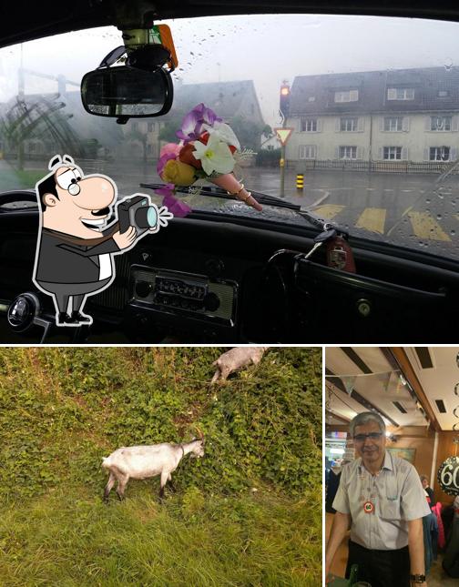 Guarda la immagine di Restaurant Salmeck