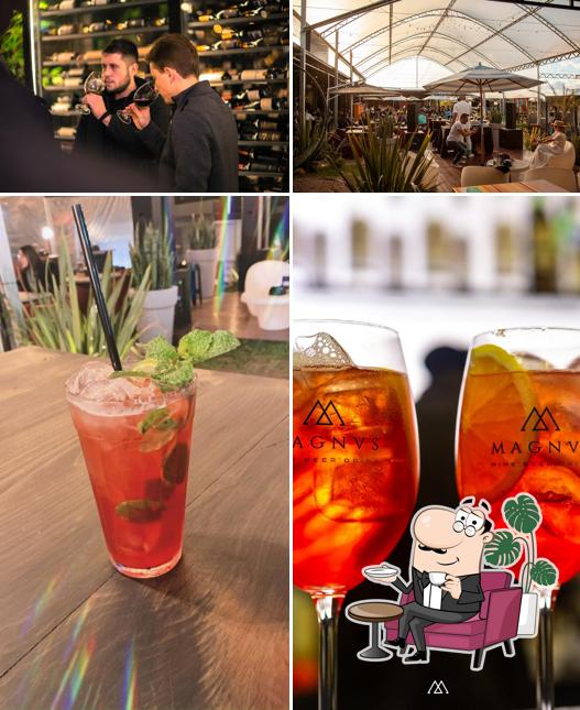 Magnvs Wine . Beer . Drink