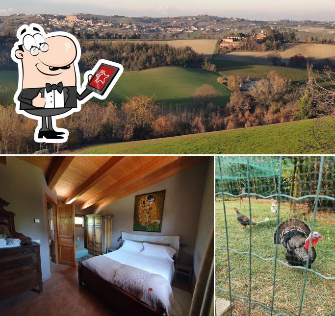 Gli esterni di Cascina Trapella