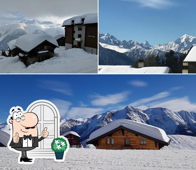 Curiosa tra gli esterni di Cafe Imhof