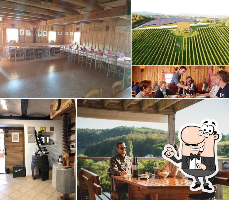 Gli interni di Vina Mramor - Turizem Mramor, Family wine estate, winery, wine shop