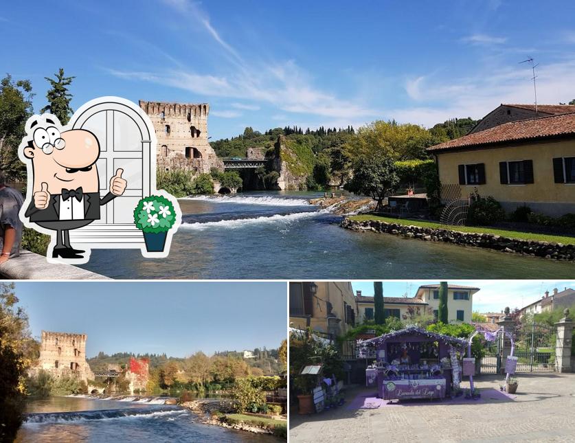 Gli esterni di La Vecchia Bottega di Cappellaro Francesco & C. Sas