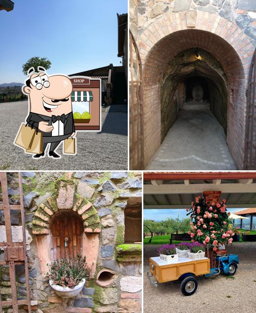 Gli esterni costituiscono una caratteristica importante di Agriturismo - Casale le Giuggiole