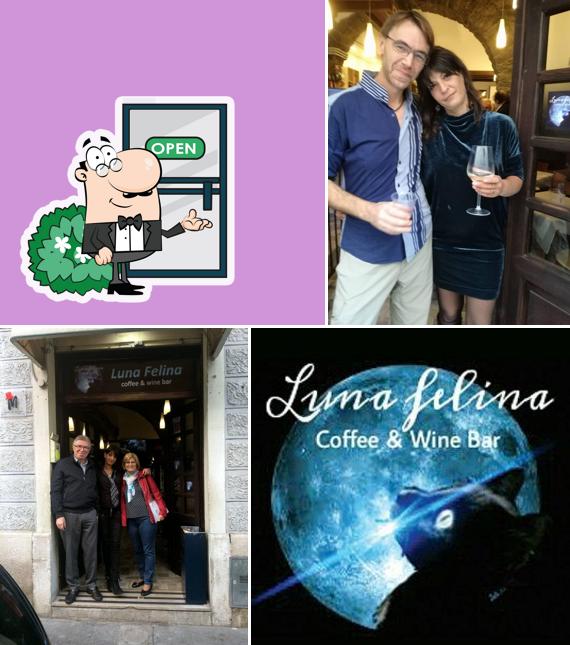 Gli esterni di Bar Luna Felina