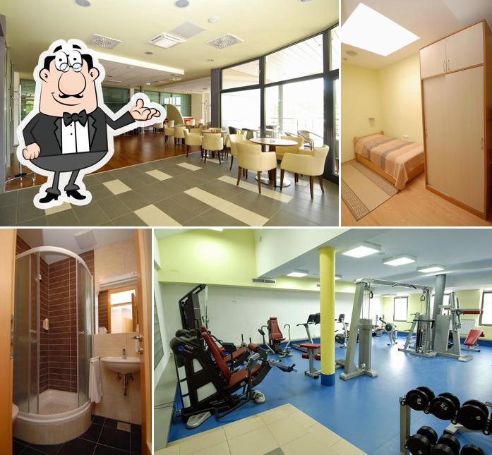 ATON-Sportsko gimnastički centar