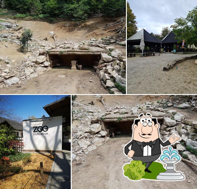 Guarda gli esterni di Restavracija Safari