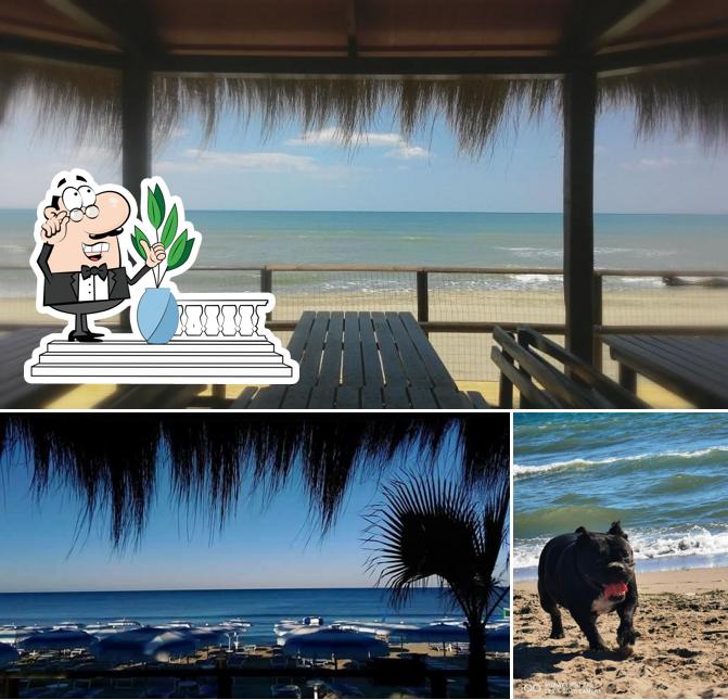 Curiosa tra l'area esterna di Lido Malibu' - Stabilimento Balneare, Bar, Tavola Calda
