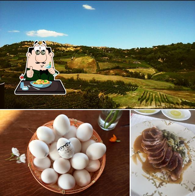 Platti al Salcheto Organic Winery in Montepulciano