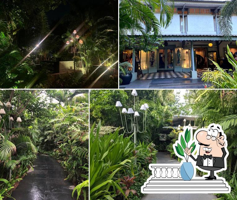 Check out how Wild Gardencafe looks outside