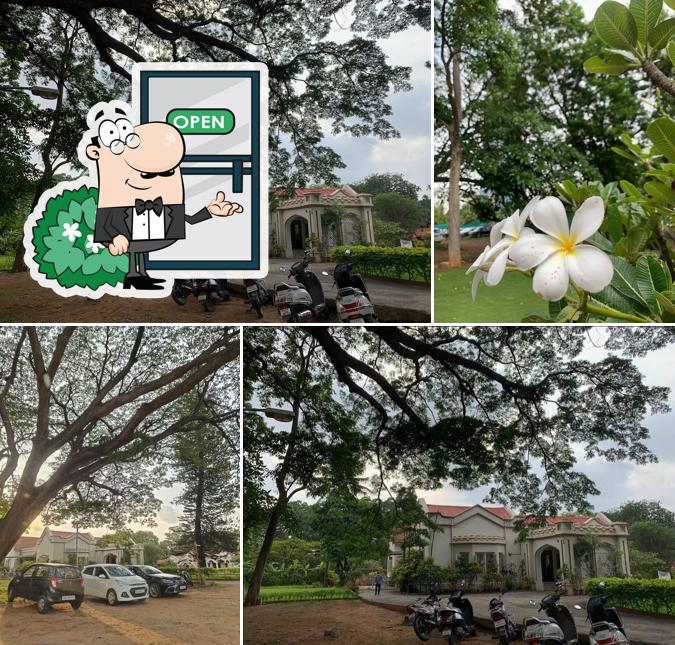 The exterior of Water Monkey Cafe