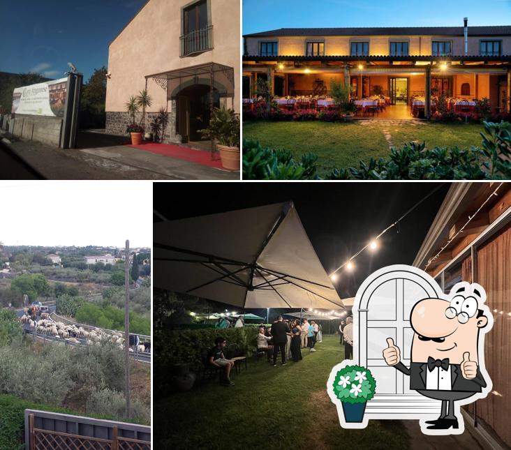 Curiosa tra la parte esterna di Agriturismo Corte Aragonese
