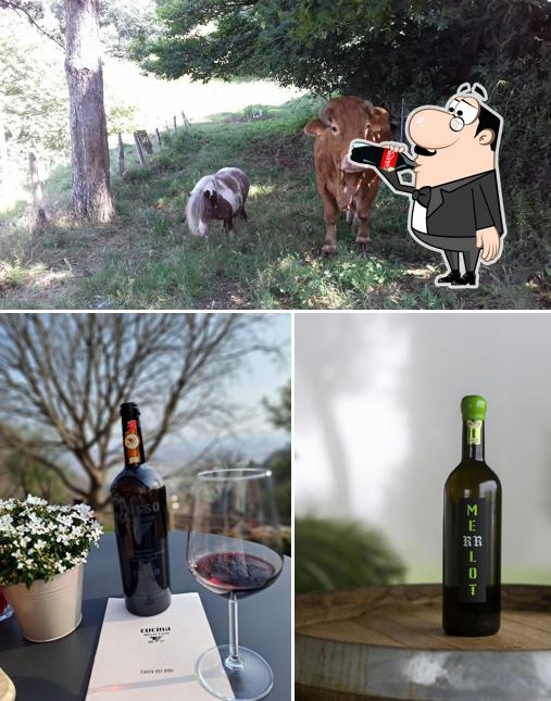 Dai un’occhiata alla foto che mostra la bevanda e cibo di Diesel Farm