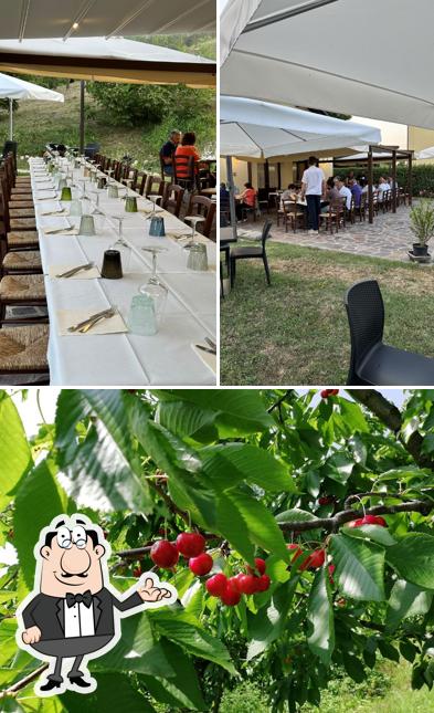 Agriturismo ''Ca' Del Vento''