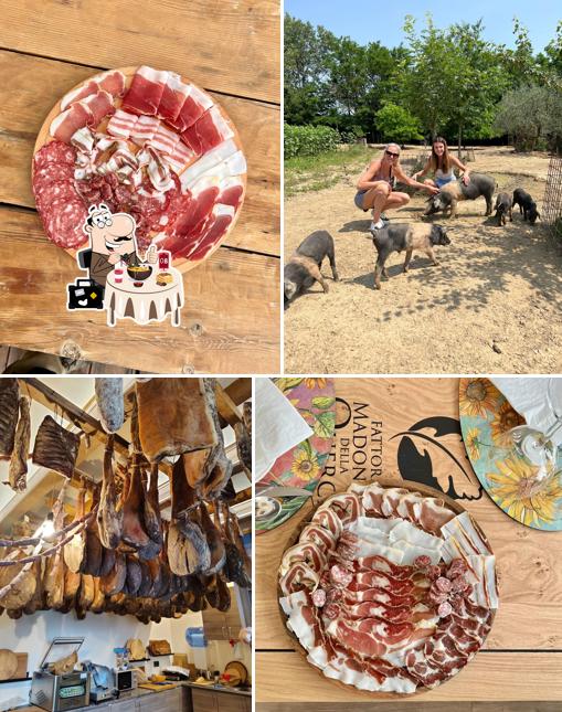 Platti al Fattoria Madonna della Querce