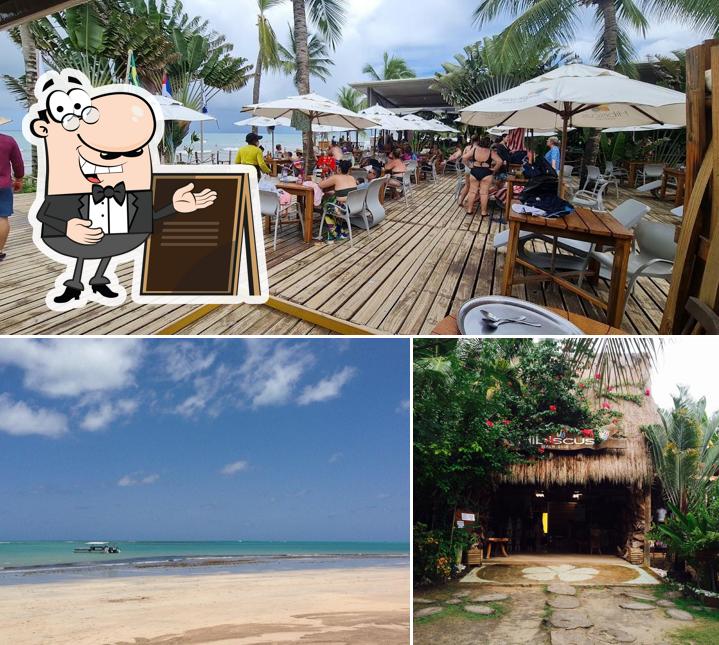 Desfrute da vista da área externa do Hibiscus Beach Club