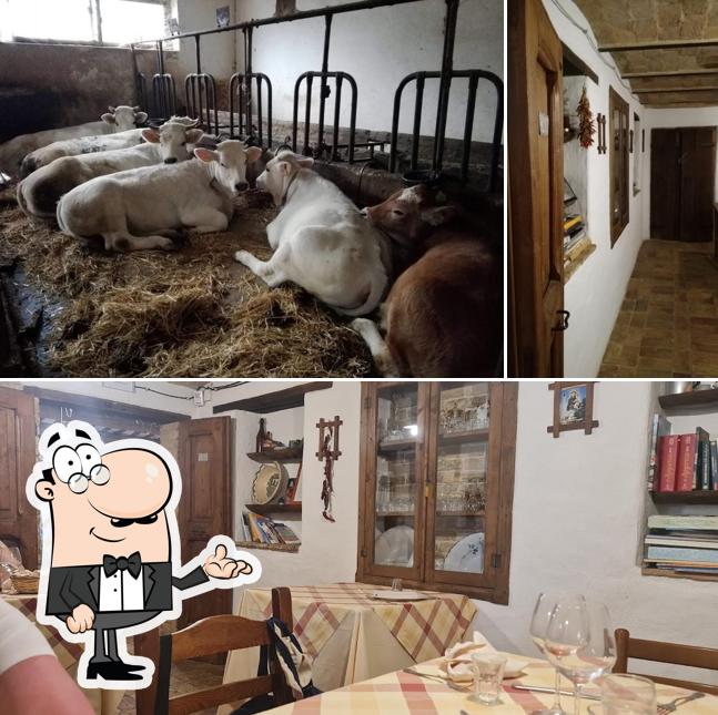 Dai un'occhiata agli interni di Agriturismo Caniloro
