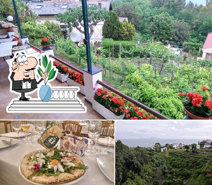 Questa è la foto che mostra la esterno e tavolo da pranzo di Rosiello