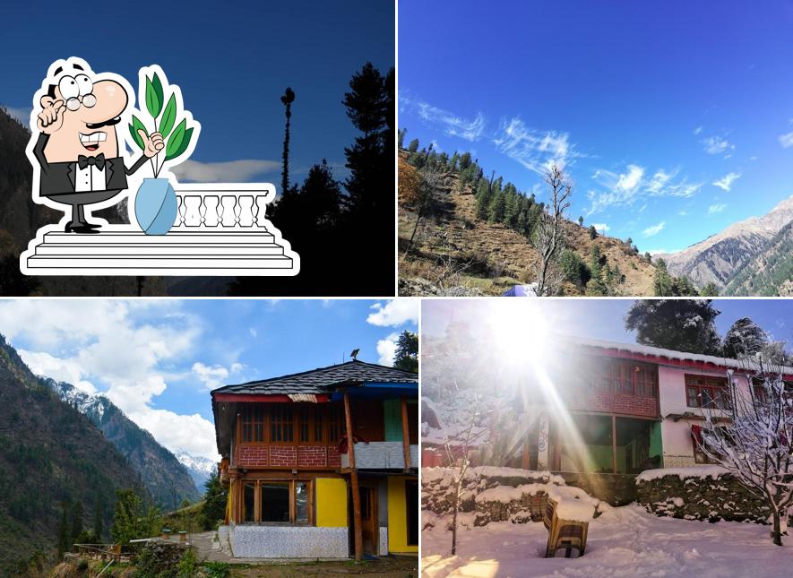 Hakuna matata by timon and pumba