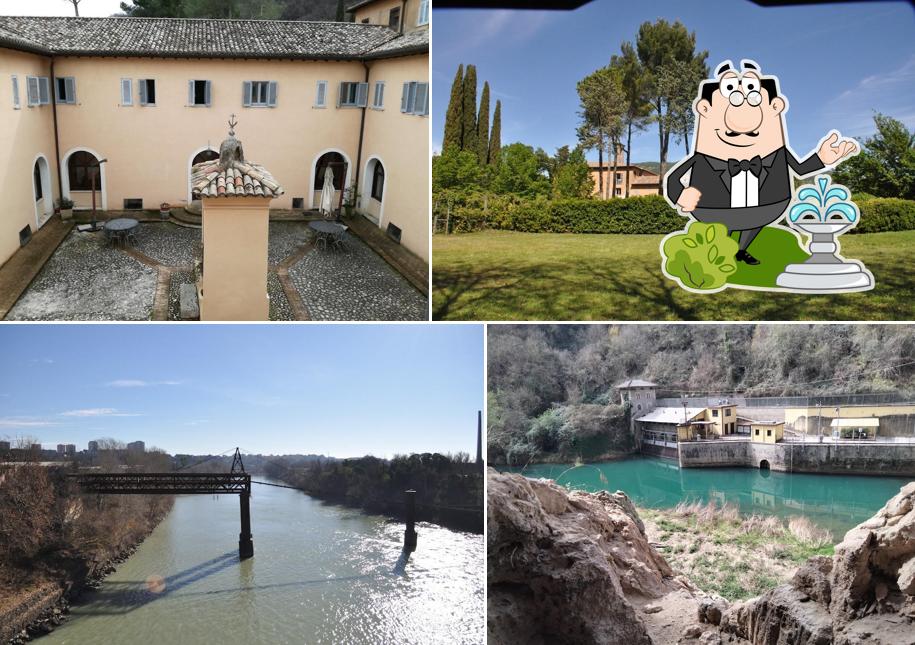 Curiosa tra gli esterni di Oasi Francescana