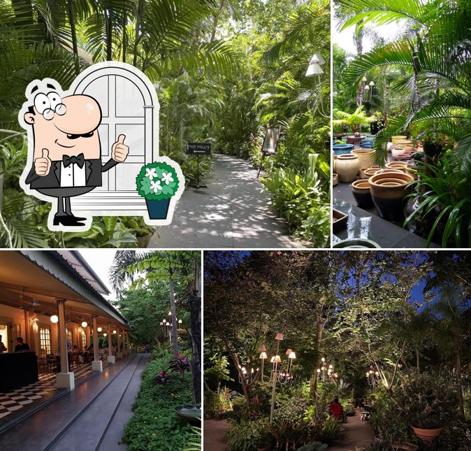 Check out how Wild Gardencafe looks outside