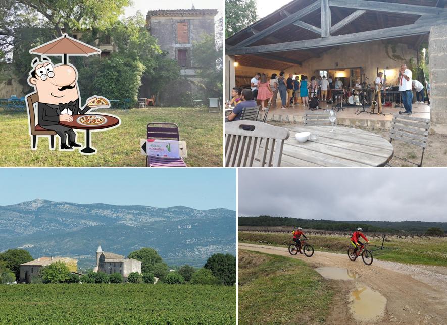 Domaine de Pélican - Vins et Hospitalité