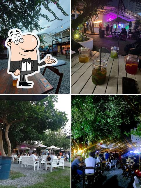 Veja imagens do interior do Édem Praia Brava
