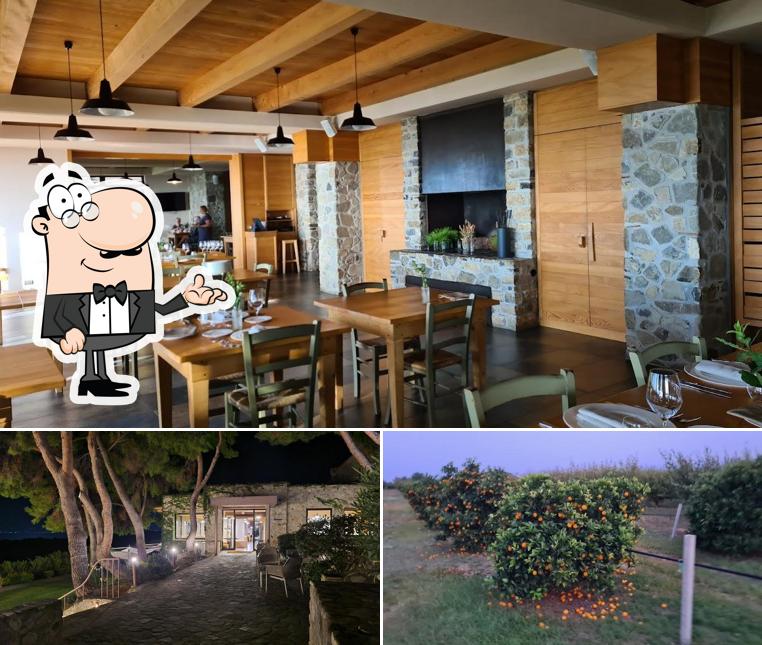 Guarda la foto che presenta la interni e cibo di Masseria Torre di Albidona