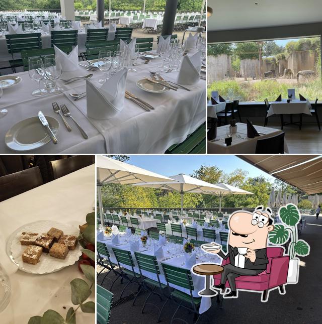 Siediti a un tavolo di Zoo Restaurant Elefantenblick
