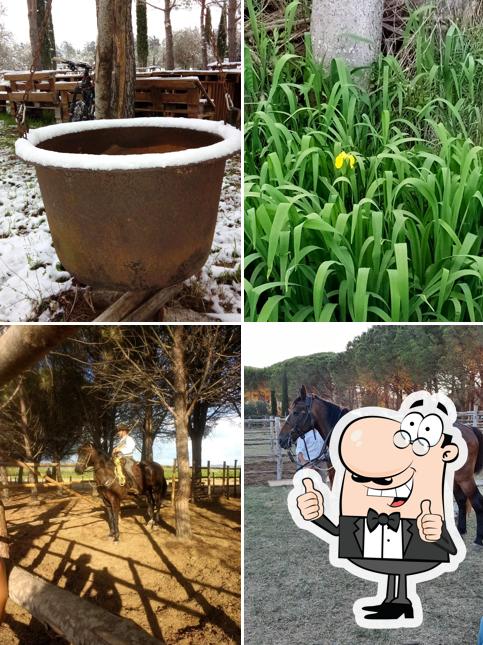 Agriturismo biologico la Pulledraia