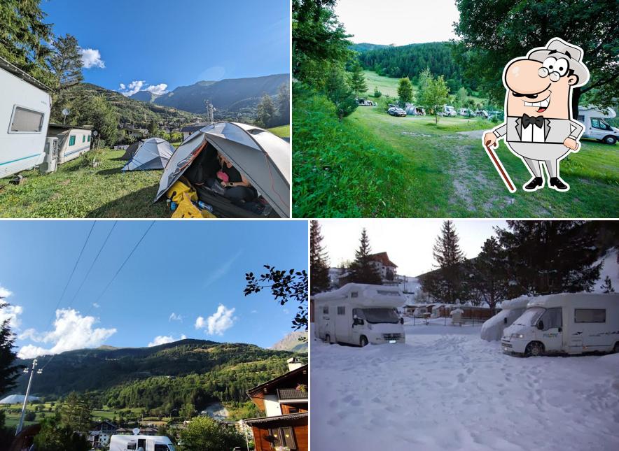 Camping Tunnel International