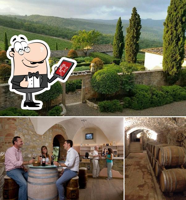 Guarda gli esterni di Castello di Meleto