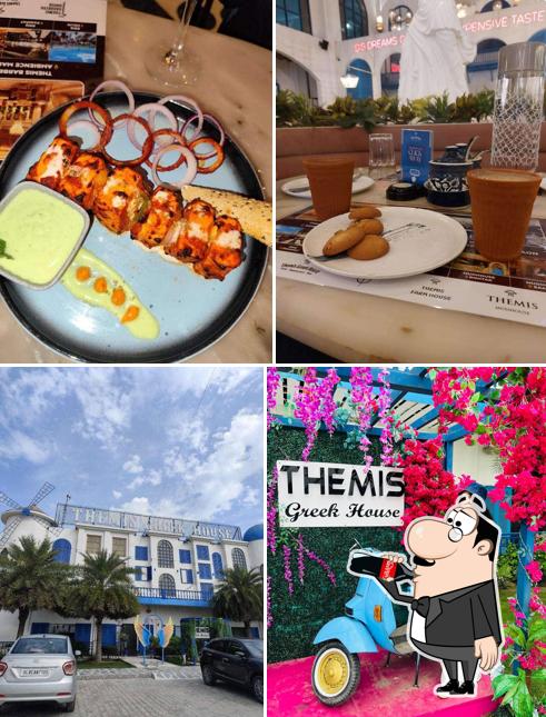 Themis Greek House BYOB, Murthal