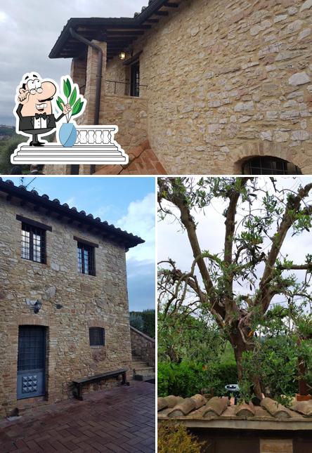 Guarda gli esterni di Agriturismo Olivetano