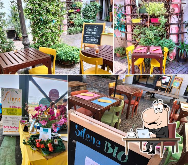 Dai un'occhiata agli interni di NaturaSì Silene Bio Bottega E Cucina