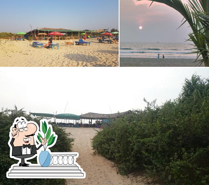 You can get some fresh air at the outside area of Rex's Place