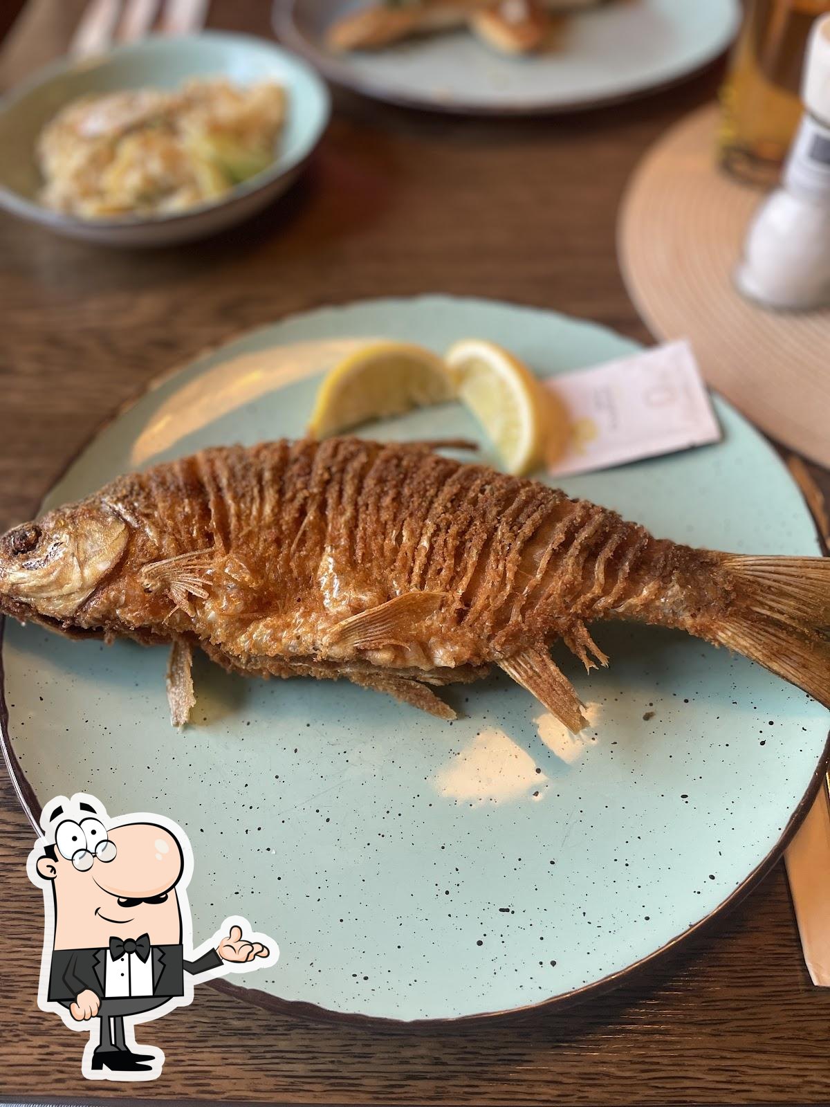 restaurant insel rott am rhein