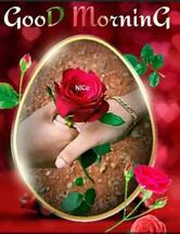 ALMAS MANDHI