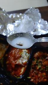 SATGURU RESTAURANT