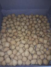Mini Salgados abc