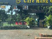 Hang Out