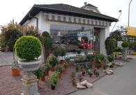 Blumen Hug AG Pratteln / Baselland