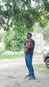 Hotel Ankit