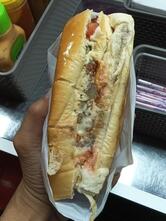 El shaday dog