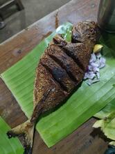 Namma Adupangarai, Paarambariya Saiva & Asaiva Unavagam