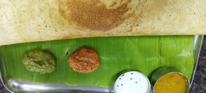Sree Aryaas